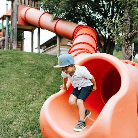 فندق تورنهوف سالباخ هينترغليم