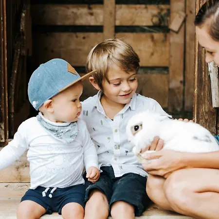 تورنهوف فندق سالباخ هينترغليم